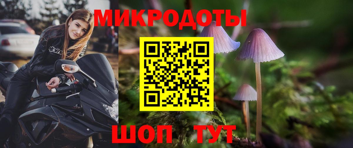 Псилоцибиновые грибы прущие грибы Новороссийск