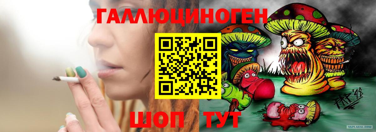 даркнет сайт  Псилоцибиновые грибы прущие грибы  Вход с VPN  Новороссийск 
